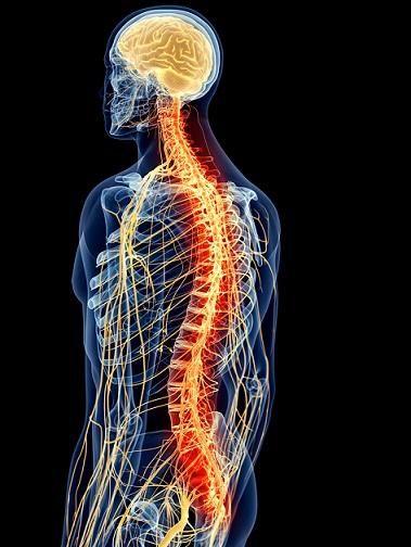 HABLEMOS DE TEMBLORES Y VIBRACIONES